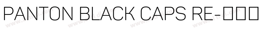 panton black caps re字体转换